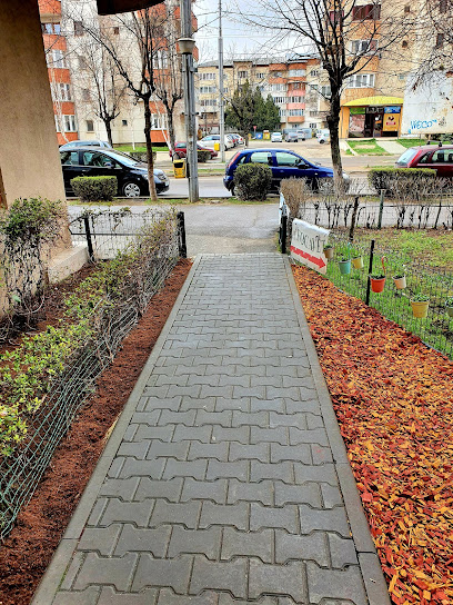 Focavet Bulevardul Republicii