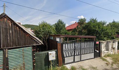 GALENUS NR. 77 Strada Traian Demetrescu 26