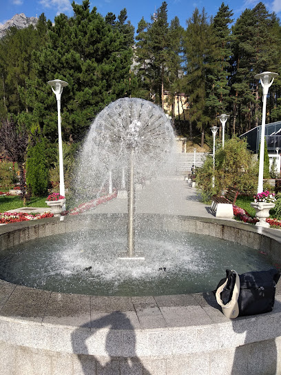 ILIRIA Str. Vulcan Iosif