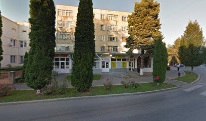 Iuhas Strada Bucovinei 7