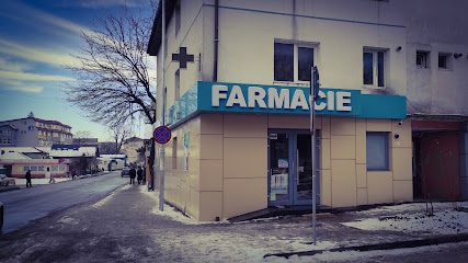 Lexy Fălticeni