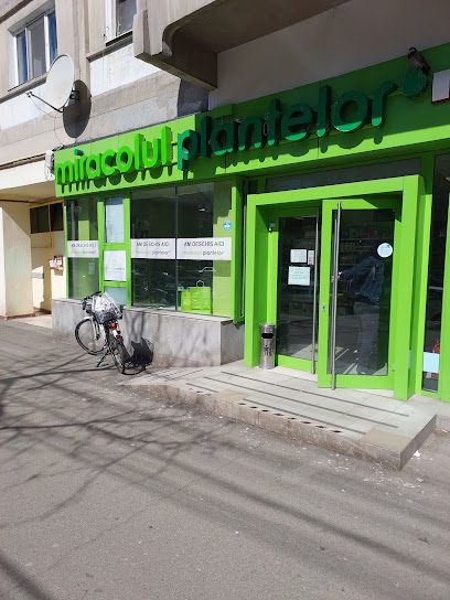 Miracolul Plantelor Strada Gheorghe Lazăr 42