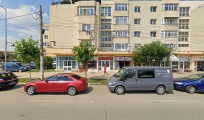 NELLANIC INTER SRL Strada Tineretului