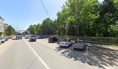N.Y.M. S.R.L. Str. Primaverii