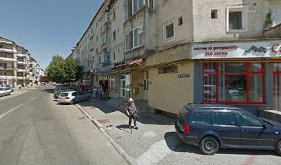 Natura Bistriteana Strada Gheorghe Pop de Băseşti 1