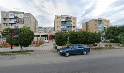 Olfarm Bulevardul Racoțeanu 173
