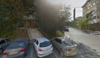 PLAFAR Ion Florin Strada Mihail Kogălniceanu NR.3