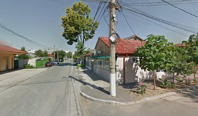 PLUS TELM S.R.L. Strada Negoiului