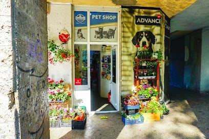 Pet Shop Constanta Constanta Mircea Cel Batran 144 parter langa Profi Bloc MD 7 A