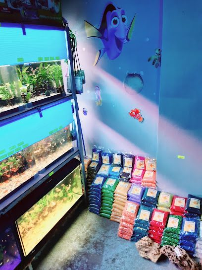 Pet Shop Gherla Strada Liviu Rebreanu 14