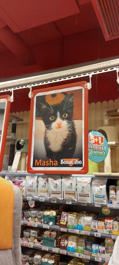 Pet Shop ZooPoint Avantgarden Str. Egretei 1