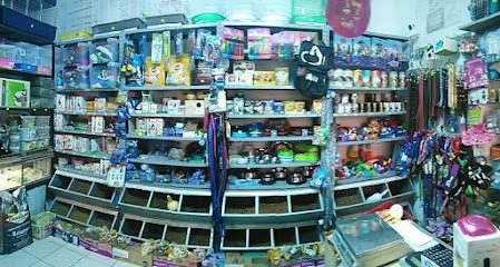 Pet Shop Zooplanet in curte