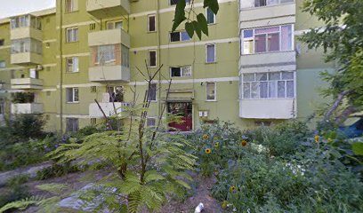 Plafar Neptun Strada Isaccei nr.33