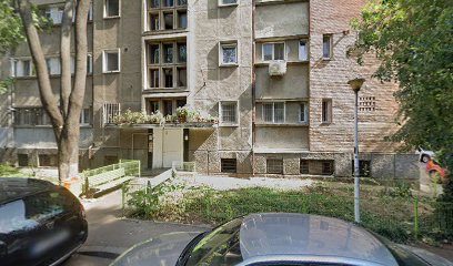 Plante vitalizante Intrarea Ferentari A
