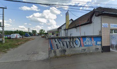 Prothorium Strada Podeni 13