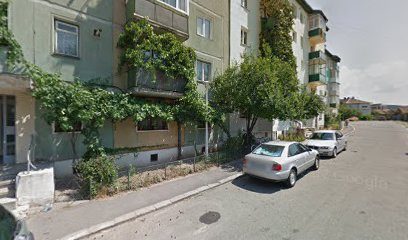 RĂDUCU CLAUDIA ELENA Strada După Zid 23