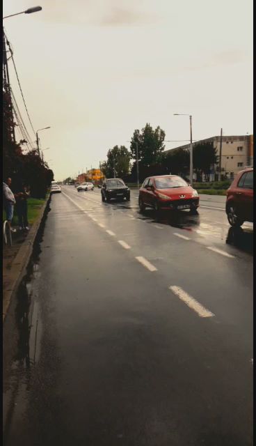 RENOVAL WEST S.R.L. Str. Cocorilor