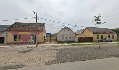 REPROVET 27 Strada Mihai Viteazul 29