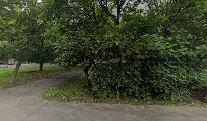 RIVULUS FARMVET Farmacie Veterinara Ferneziu Strada Barajului 55c