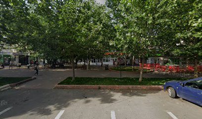 Remedia Bulevardul Camil Ressu 41