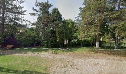 Remedica S.R.L Calea Ploiești