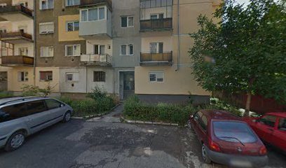 Revelatia Naturii Strada Rovinari 1