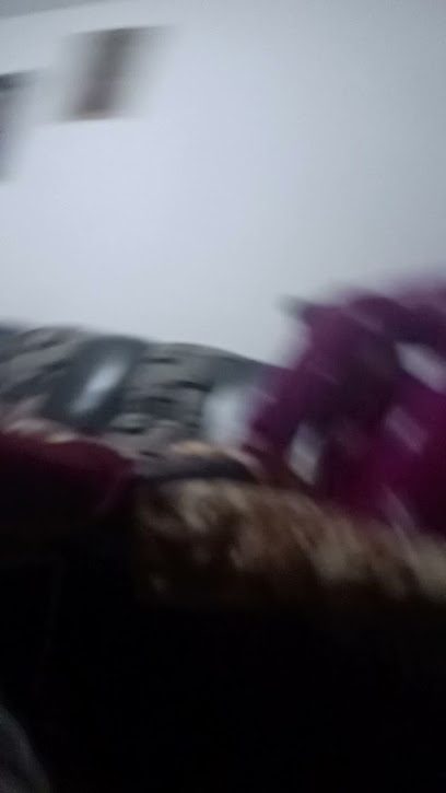 Richter Hunedoara 331005