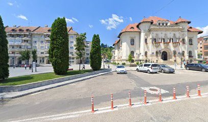 SALDOVIN COMP S.R.L. Strada Negru Vodă 125-121