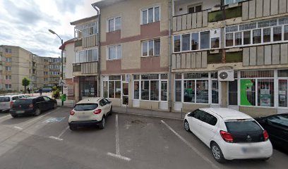 SALVATOR S.R.L. Strada Nicolae Bălcescu 1