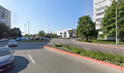 SANTE FARMACEUTICA S.R.L. Str. Exercitiu