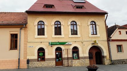 SC VIOLA SRL Strada Ion Metianu 3