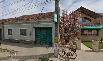 SILPETI COM Com. Vadu Crisului