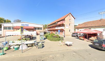 Sanovet Strada Vasile Bugariu 1