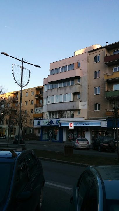 Sensiblu Bulevardul Revoluției 1989 15