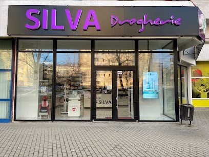 Silva Drogherie Bloc 546