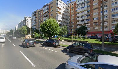 Sinapis Calea Aurel Vlaicu 122