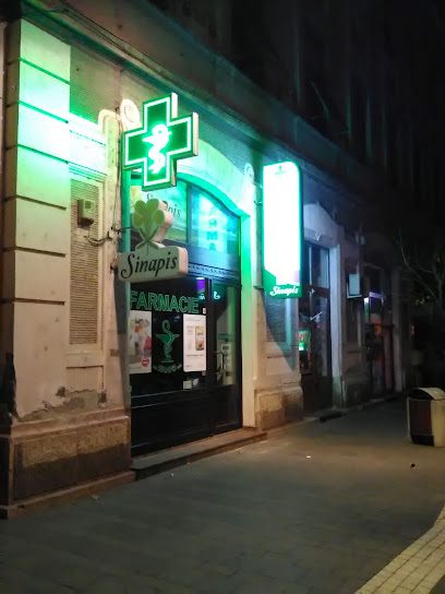 Sinapis Strada Mețianu 2