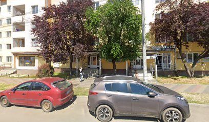 StetoscoapeProfesionale Strada Grănicerilor nr. 3