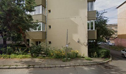 TAPVET S.R.L. Str. Sarmas