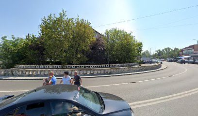 TEHNOFARM VALLERIANA Str. Garii