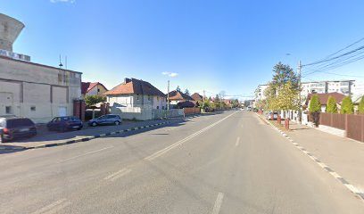 TEHNOFARM VALLERIANA Strada Teiș 1