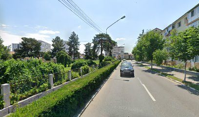 TEOSAN S.R.L. Str. Popescu Vasile