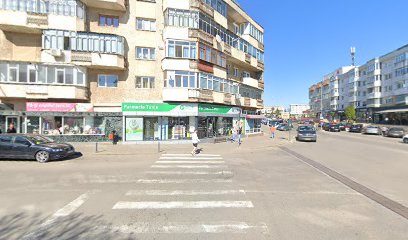 Tania Strada Nicolae Beldiceanu