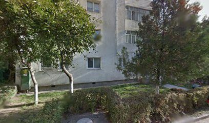 Unitas Strada Aleea Parcului C8