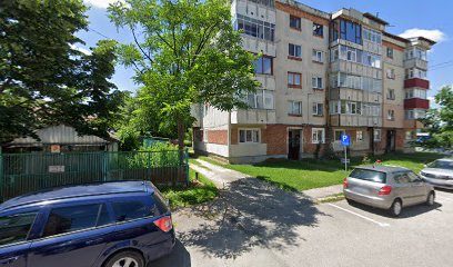 VELFINA S.A. Strada Iezer 7