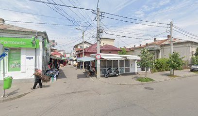 Veterra - Farmacie Veterinara Strada Traian Vuia 4