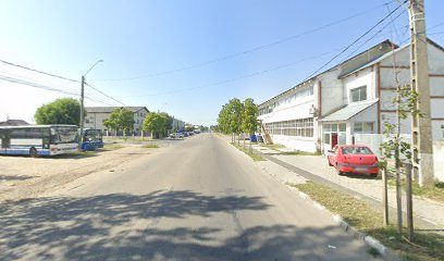 Veterra - Farmacie Veterinara Titu Strada Gării