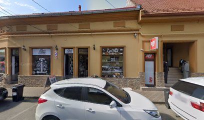 Veterra Lugoj Somesului Strada Someșului 26