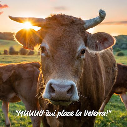 Veterra Romania - Sediu Iride Business Park