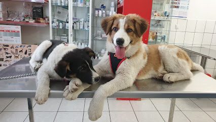Vivavet Calea Șagului 94